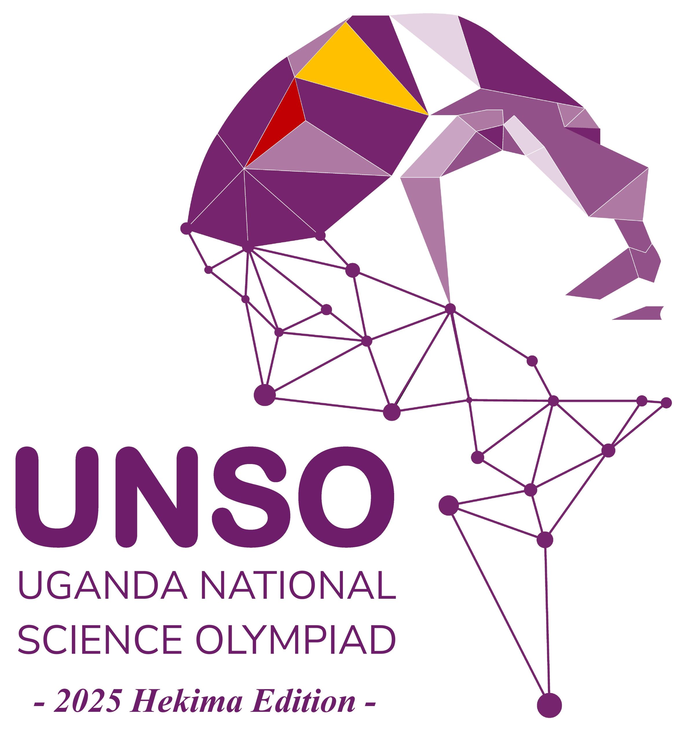UNSO 2025 official tournament logo