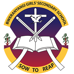 Team Sci-Giants - Bweranyangi Girls Secondary School badge